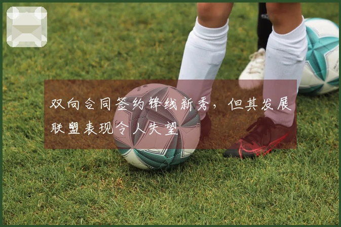 双向合同签约锋线新秀，但其发展联盟表现令人失望