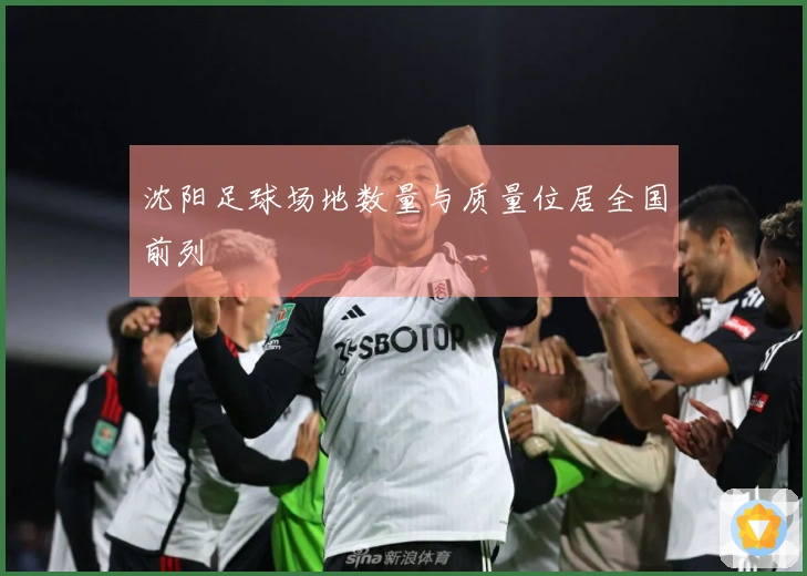 沈阳足球场地数量与质量位居全国前列