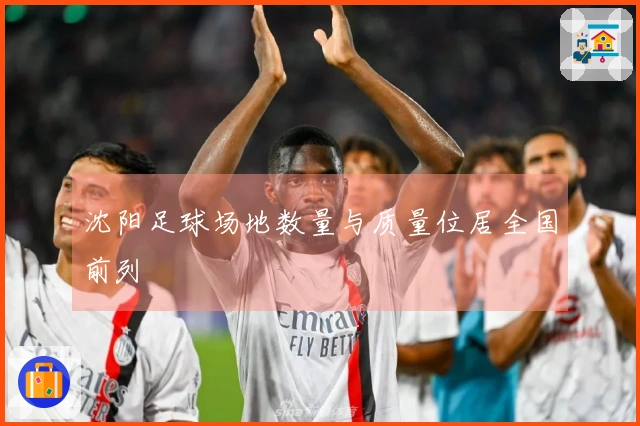 沈阳足球场地数量与质量位居全国前列